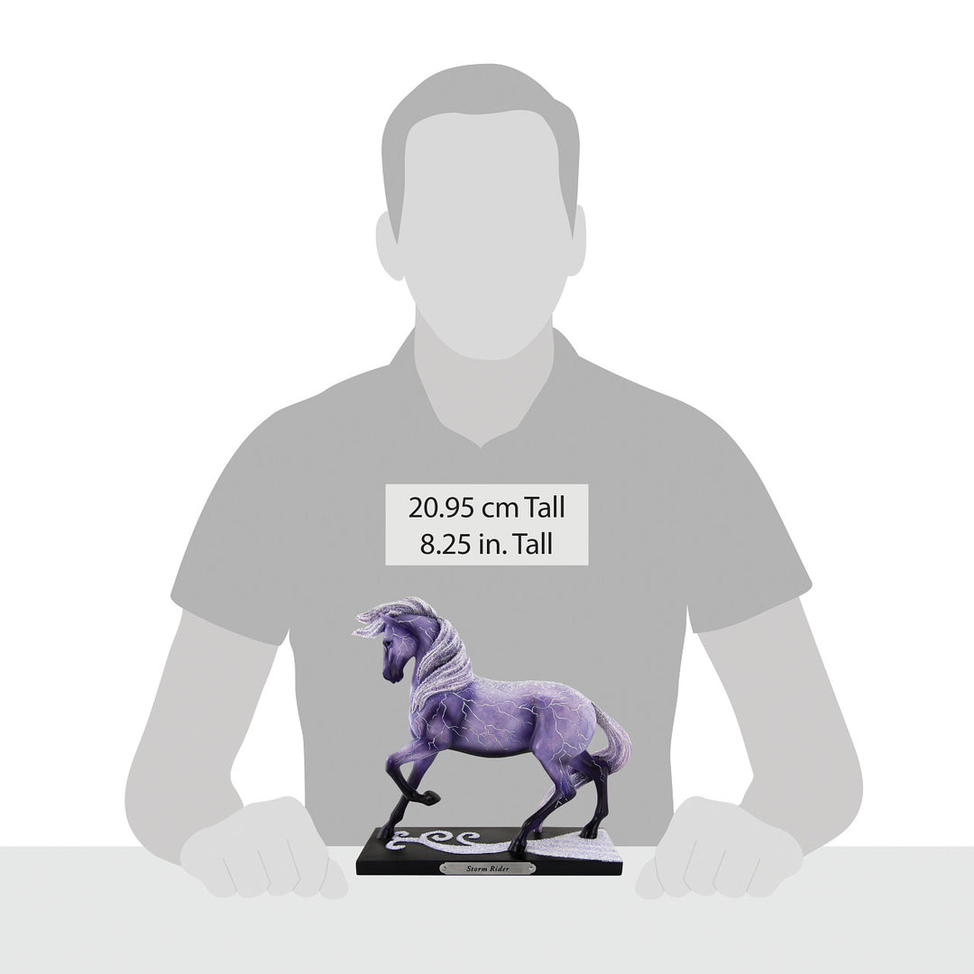 Trail of Painted Ponies: Storm Rider Figurine sparkle-castle