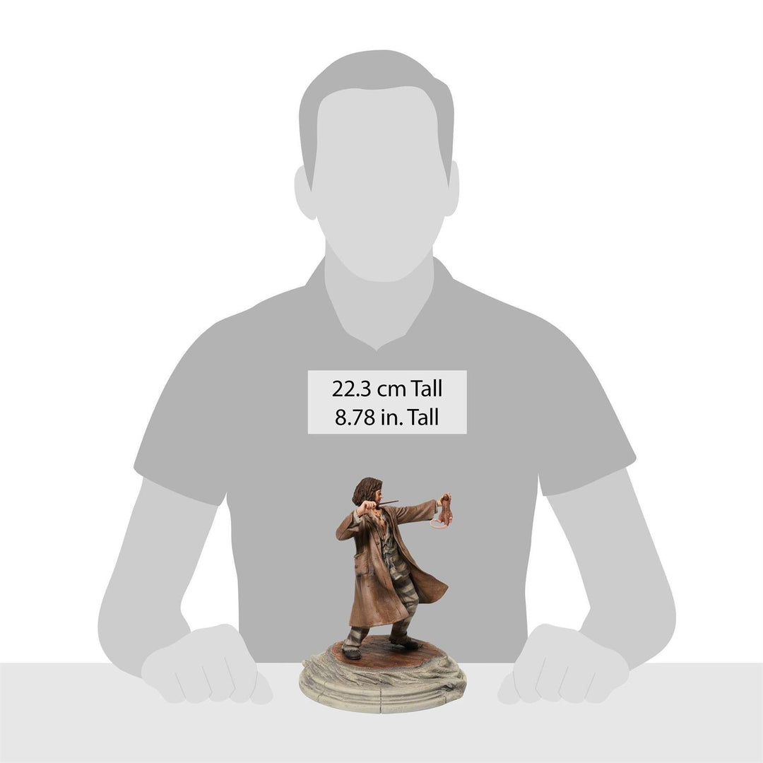 Wizarding World of Harry Potter: Sirius Black With Wormtail Figurine sparkle-castle
