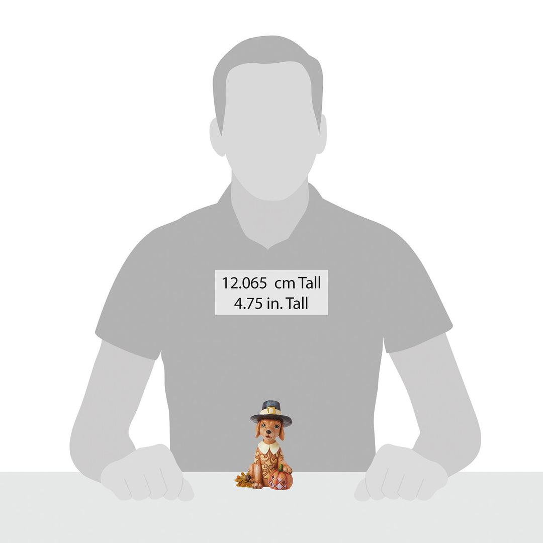 Jim Shore Heartwood Creek: Pint Sized Pilgrim Puppy With Pumpkin Figurine sparkle-castle