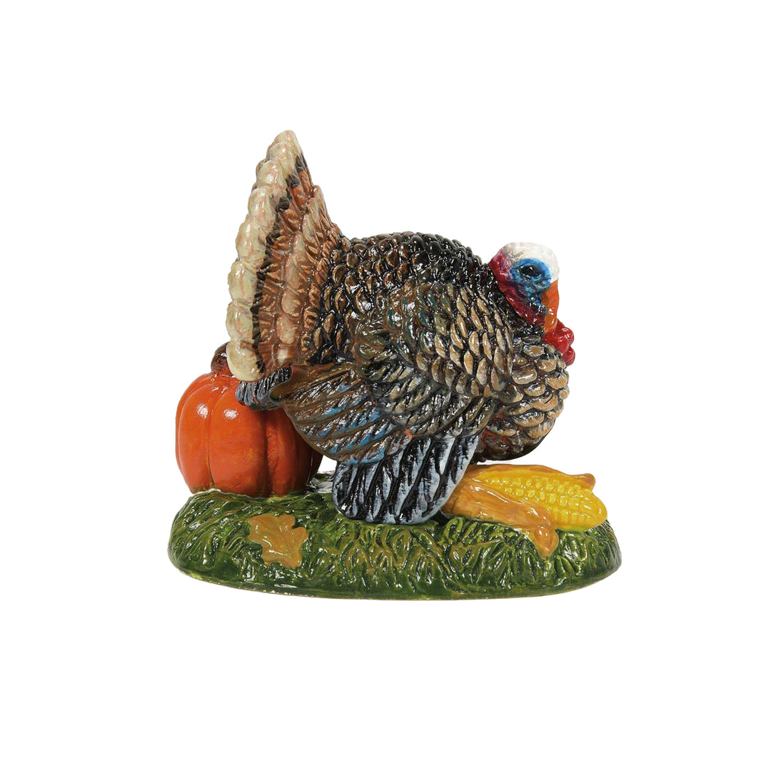 Department 56 Cross Product Halloween Accessory: Tom Turkey sparkle-castle