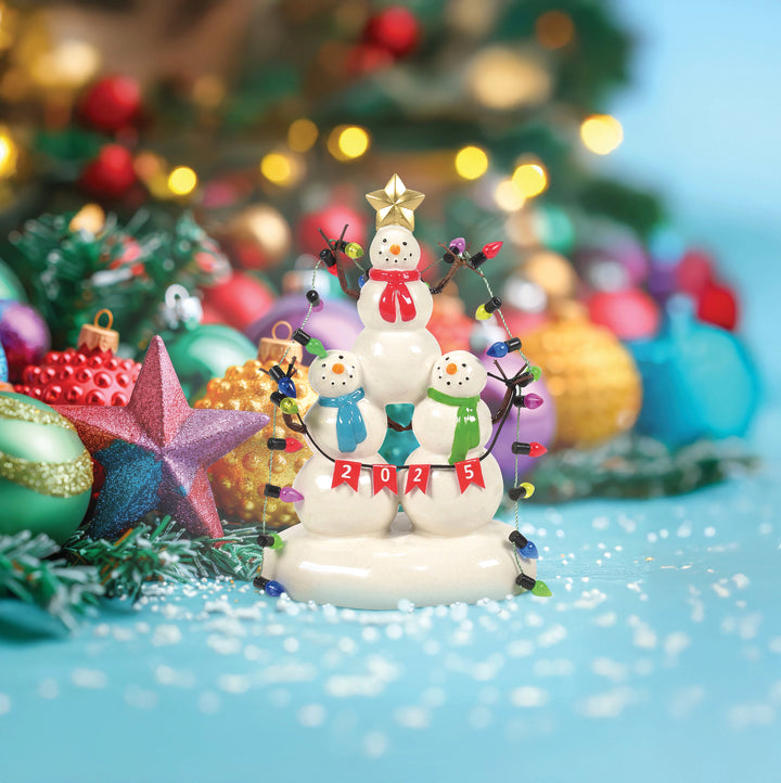 Department 56 Cross Product Village Accessory: Lucky The Snowman 2025 sparkle-castle