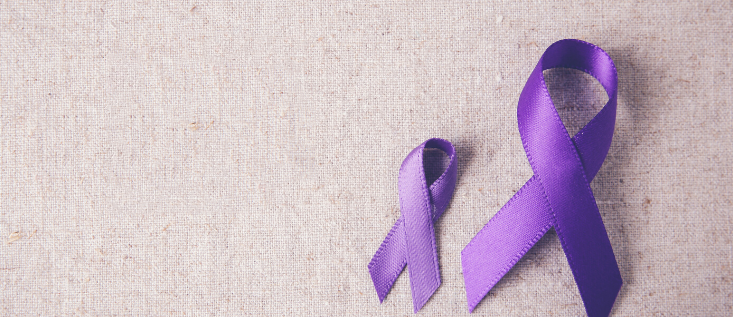 Sparkle Castle Epilepsy Awareness Purple Day Commitment