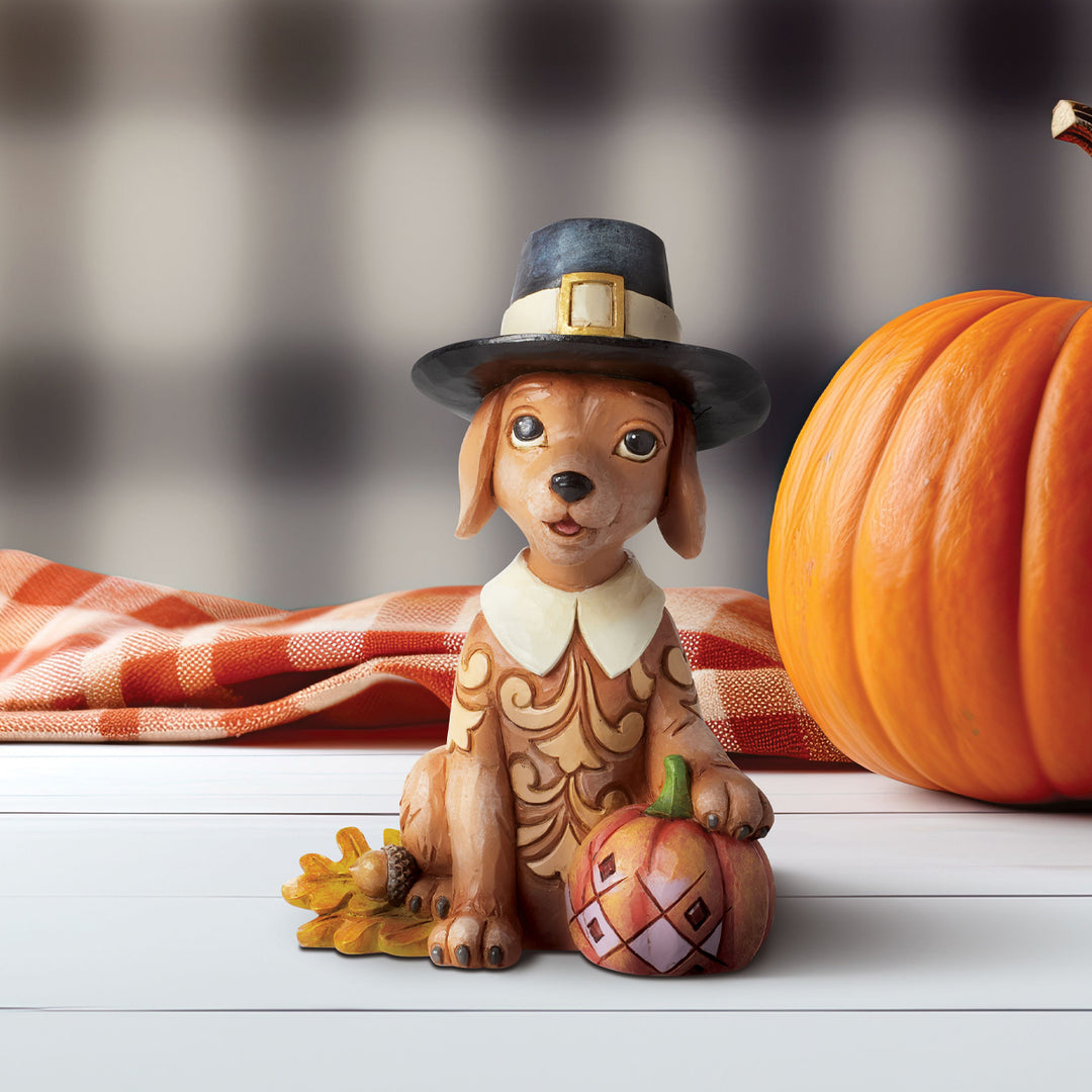 Jim Shore Heartwood Creek: Pint Sized Pilgrim Puppy With Pumpkin Figurine sparkle-castle