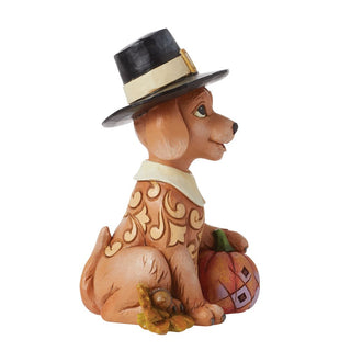 Jim Shore Heartwood Creek: Pint Sized Pilgrim Puppy With Pumpkin Figurine sparkle-castle