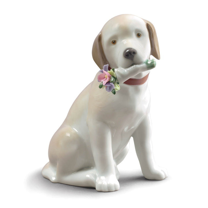 Lladró Family Pets Collection: This Bouquet Is for You Dog Figurine sparkle-castle